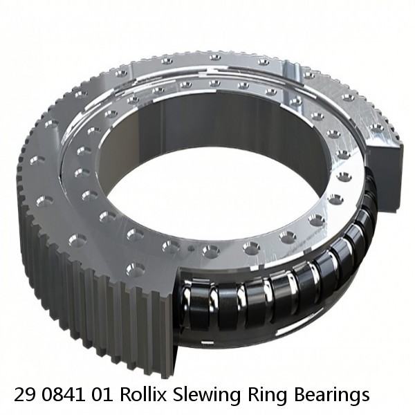 29 0841 01 Rollix Slewing Ring Bearings #1 image