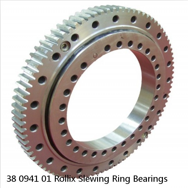 38 0941 01 Rollix Slewing Ring Bearings #1 image